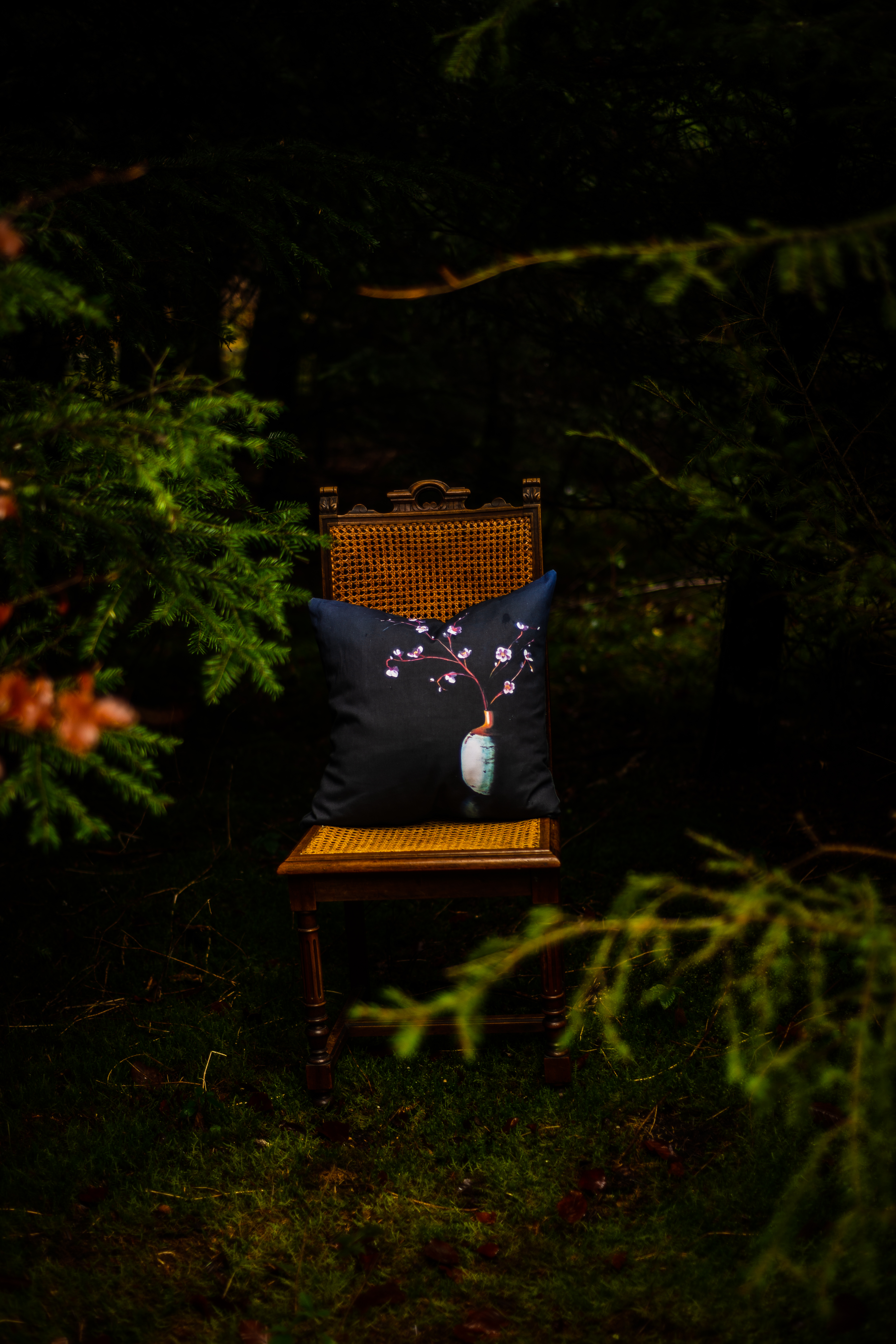 Olivia Hart-Hughes art prints on velvet cushions