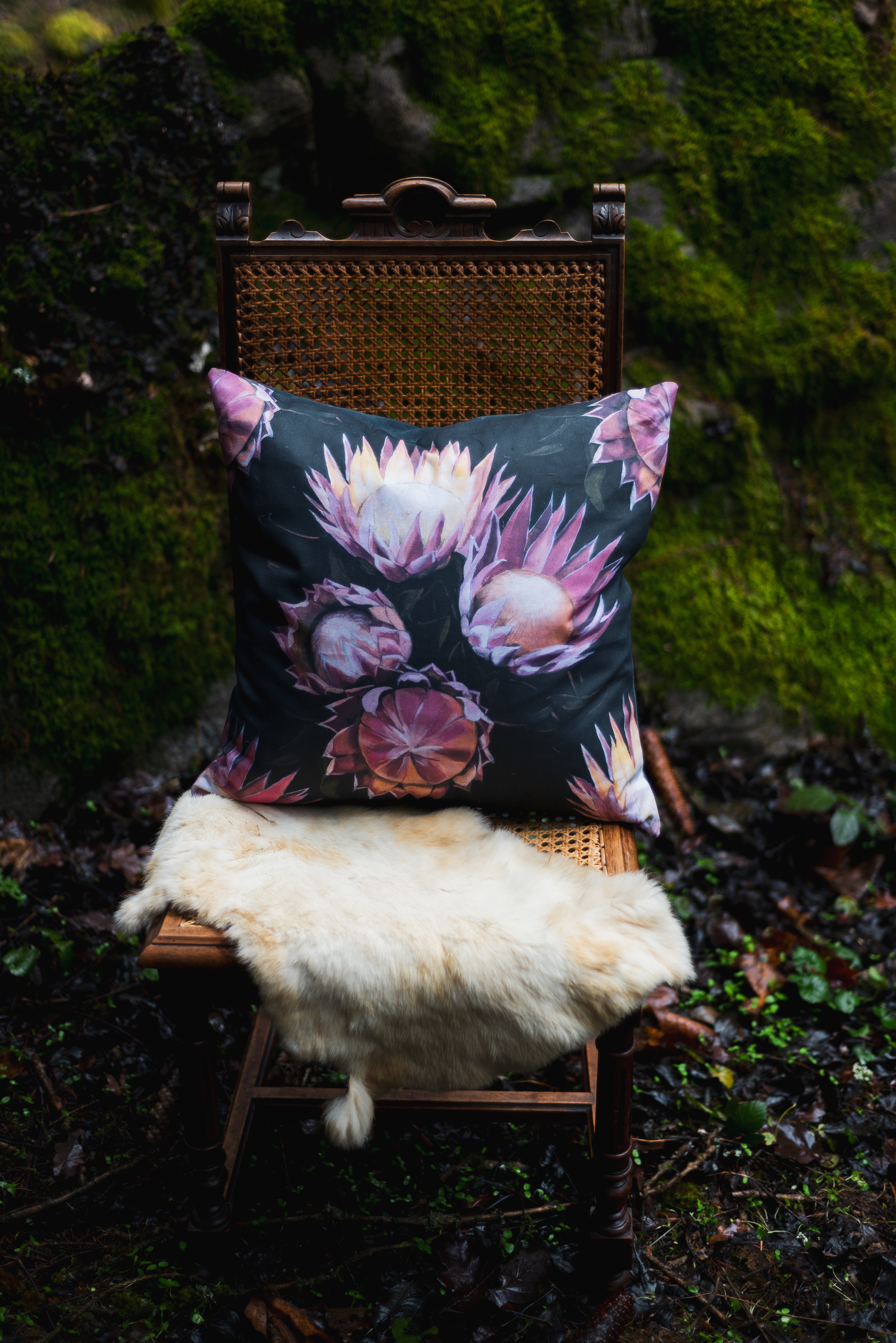 Olivia Hart-Hughes art prints on velvet cushions